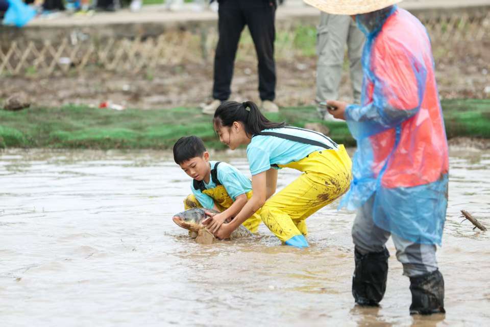 wuCio, 育传统项目, LFZbc wuCio, 育传统项目, LFZbc